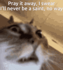 Pray It Away I Swear Ill Never Be A Saint No Way Enemy GIF - Pray It Away I Swear Ill Never Be A Saint No Way Enemy Cat GIFs