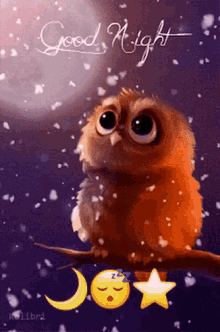 good night moon full owl