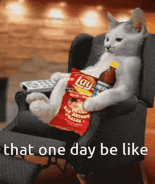 Cat Relatable GIF - Cat Relatable Funny GIFs