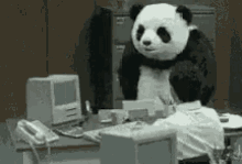 Panda Enojado En La Oficina GIF - Panda Making A Mess Freaking Out GIFs