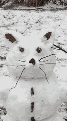 Snow Snowcat GIF - Snow Snowcat Schneekatze GIFs