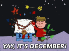 December Peanuts GIF - December Peanuts Charlie Brown Christmas GIFs