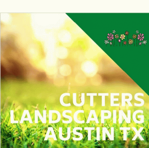 Cudders Gifs Tenor, Landscaping Services Austin
