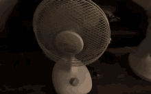 fan oscilating fans