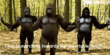 Gorilla Dance Gorilla Dancing GIF - Gorilla Dance Gorilla Gorilla Dancing GIFs