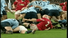rugby union rugby fight punch punch mate