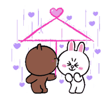 brown cony brown bear cony and brown brown and cony