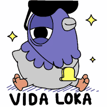 sunglasses vida