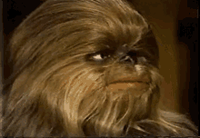 Lumpy The Wookie Smile GIF - Lumpy The Wookie Smile Chewbacca GIFs