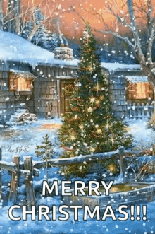 christmas snow christmas tree merry christmas seasons greetings