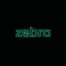 Zebranow Electric Zebra GIF - Zebranow Electric Zebra Zebra GIFs