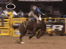 Rodeo GIF - Rodeo GIFs