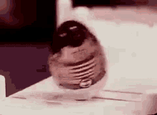 Fat Weeble Wobble GIF - Fat Weeble Wobble GIFs