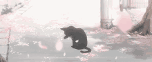 Shigatsu Wa Kimi No Uso Grooming GIF - Shigatsu Wa Kimi No Uso Grooming Cat GIFs
