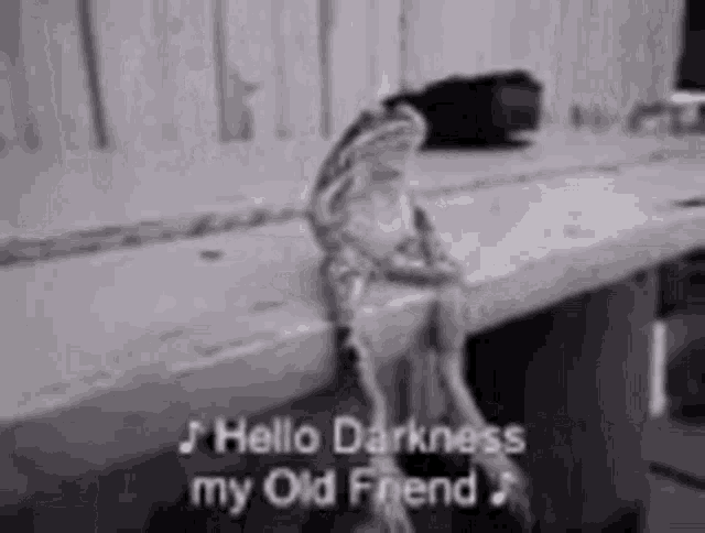 hello-darkness-my-old-friend.gif