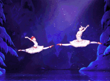 Leap Ballerina Fieclie GIF - Leap Ballerina Fieclie Leap GIFs