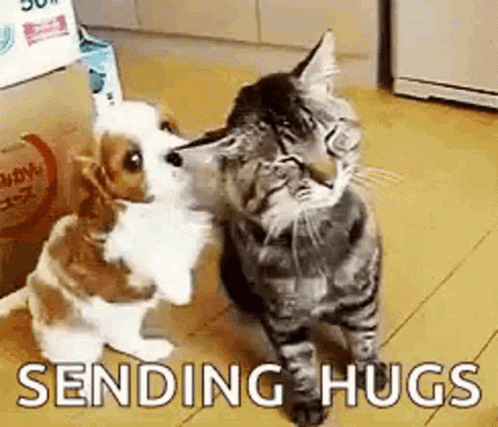 sending-hugs-dog.gif