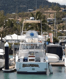 Coral Coast Charters Whitsundays Private Boat Charters GIF - Coral Coast Charters Whitsundays Private Boat Charters GIFs