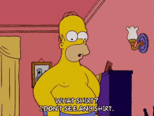 Homer Simpson What Shirt GIF - Homer Simpson What Shirt Shirtless GIFs