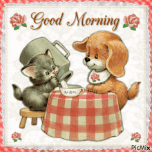Good Morning Cat GIF - Good Morning Cat Kitten GIFs