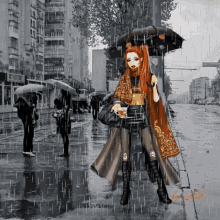 lady popular rain fashion lady popular rain fashion
