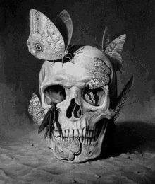 Skull Butterfly GIF - Skull Butterfly GIFs