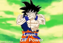 lvl7 gif power level up
