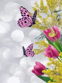 Butterfly Pink GIF - Butterfly Pink Yellow GIFs