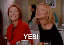Yes! GIF - Sex And The City Yes Yeah GIFs