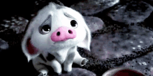 sad disappointed pig piggy moana