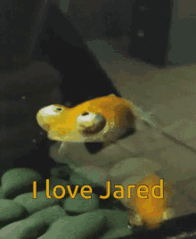 Jared I Love Jared GIF - Jared I Love Jared Love Jared GIFs