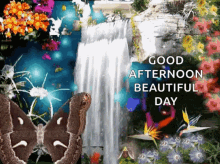 good afternoon beautiful day butterfly falls greetings