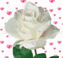 Flying Hearts Rose GIF - Flying Hearts Rose Bahonon GIFs