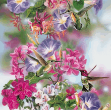 Humming Birds Sipping Nectar GIF - Humming Birds Sipping Nectar Flowers GIFs