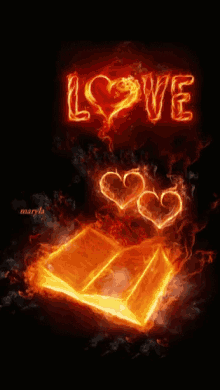 Love You Book GIF - Love You Book Hearts GIFs