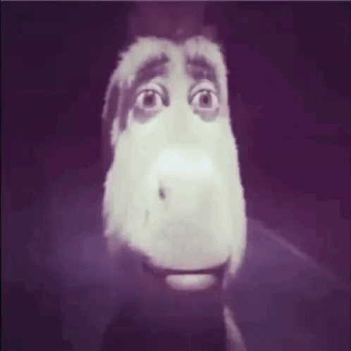 Donkey Scary GIF - Donkey Scary Personabeys - Discover & Share GIFs