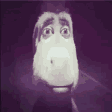 Donkey Scary GIF - Donkey Scary Personabeys GIFs