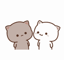 Peachcat Peachcat And Goma GIF - Peachcat Peachcat And Goma Hearts GIFs