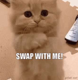 Please Swap Swap With Me GIF - Please Swap Swap With Me Please GIFs