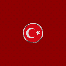 Bayrak Turkey GIF - Bayrak Turkey Turk GIFs