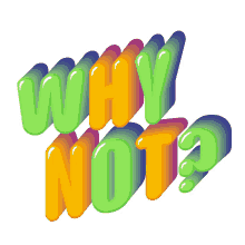 why not why curious why not why curious