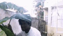 hale raining