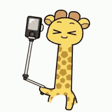 Giraffe Selfie GIF - Giraffe Selfie Picture GIFs