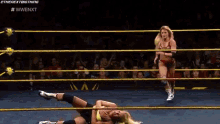 candice lerae lionsault lacey evans wwe nxt
