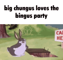 Chungus Bingus GIF - Chungus Bingus Bingus Party GIFs