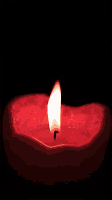 Flame Fire GIF - Flame Fire Candle GIFs