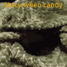 Stacy Candy Bunny GIF - Stacy Candy Bunny GIFs
