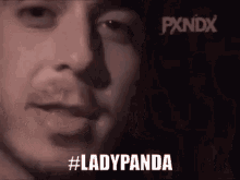 lady panda whisper murmur