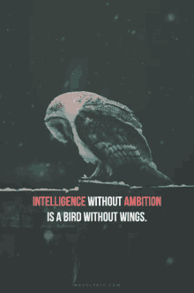 Intelligence Without GIF - Intelligence Without Ambition GIFs