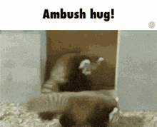 Fluffy Hug GIF - Fluffy Hug Hugging GIFs